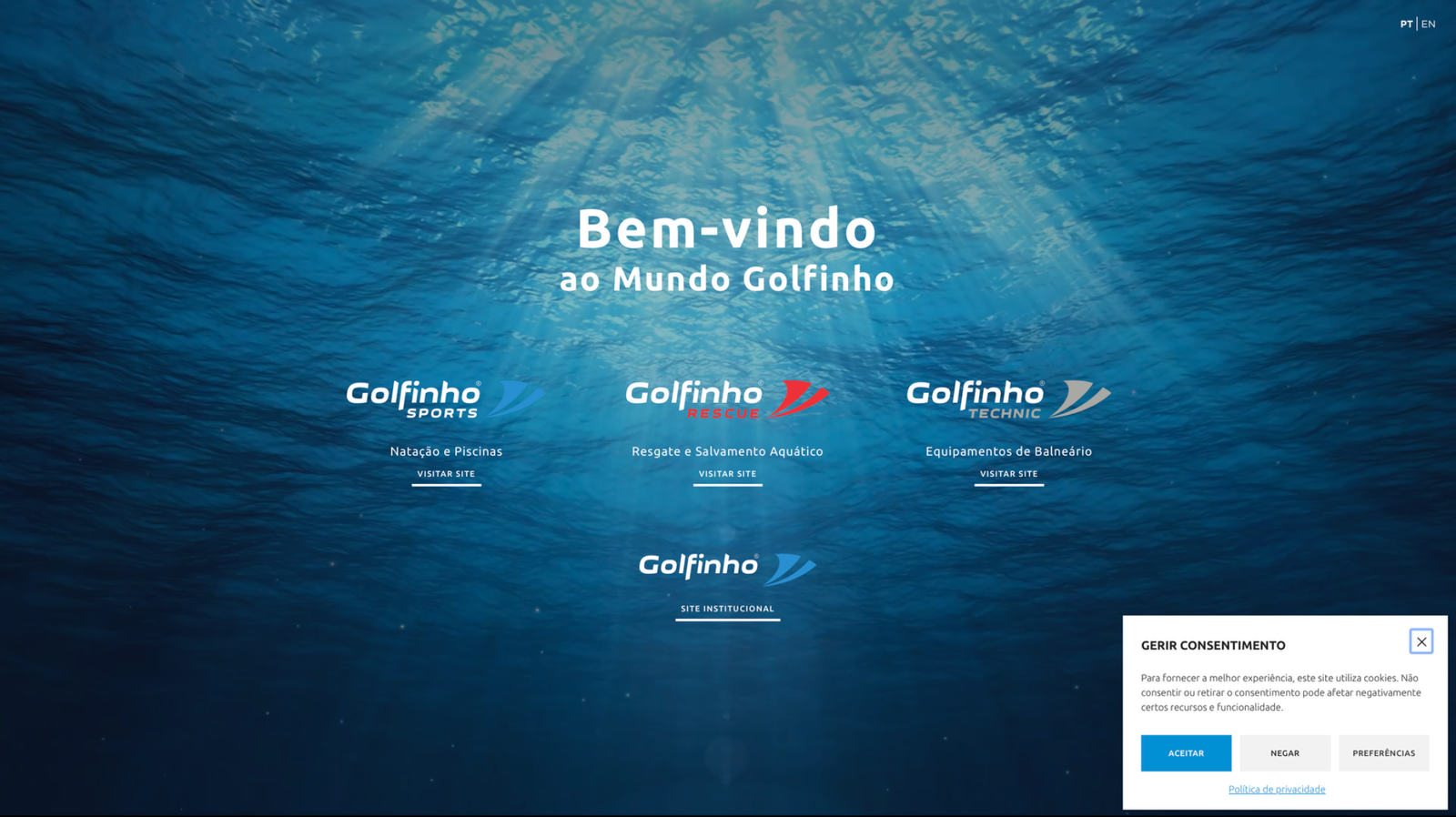Screenshot real do projeto Golfinho Sports
